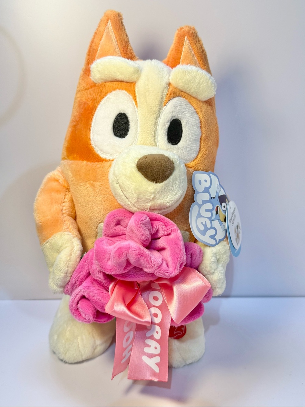 Bluey Bingo Animated Valentines Plush Stuffed Animal with Scented Floral Bouquet